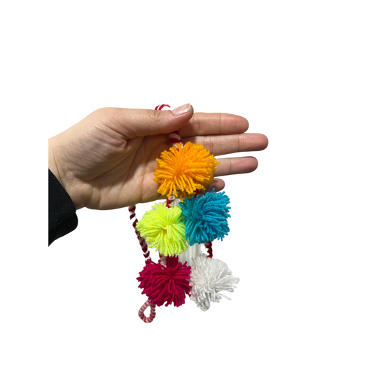 Pompon Tulmas Baile Nortino Baile El Trote Niña