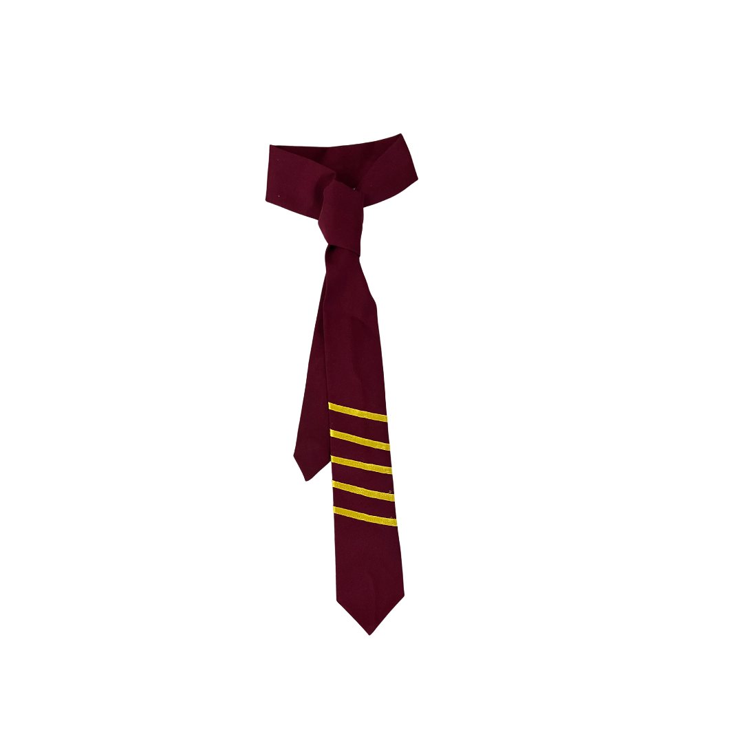 Corbata Gryffindor Harry Potter + Lentes