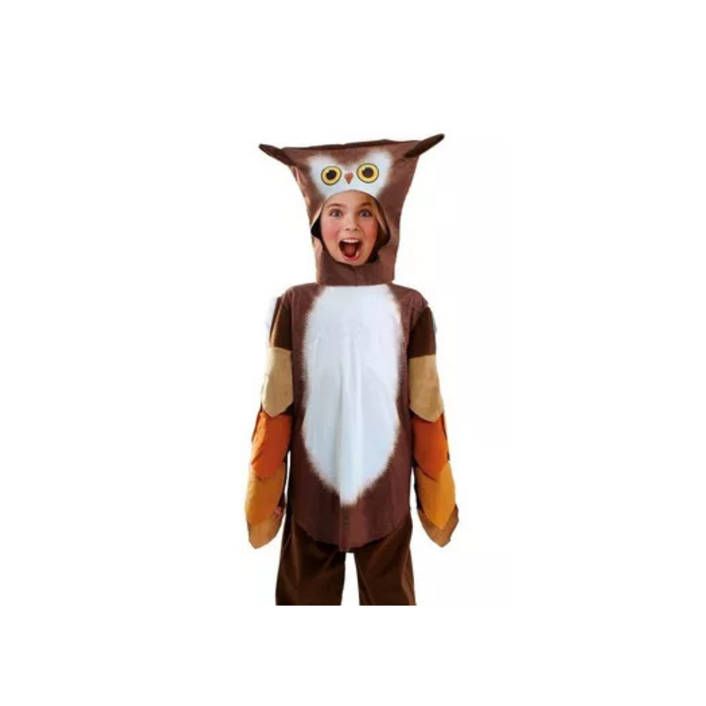 Disfraz De Buho Personaje de Cuentos Niños