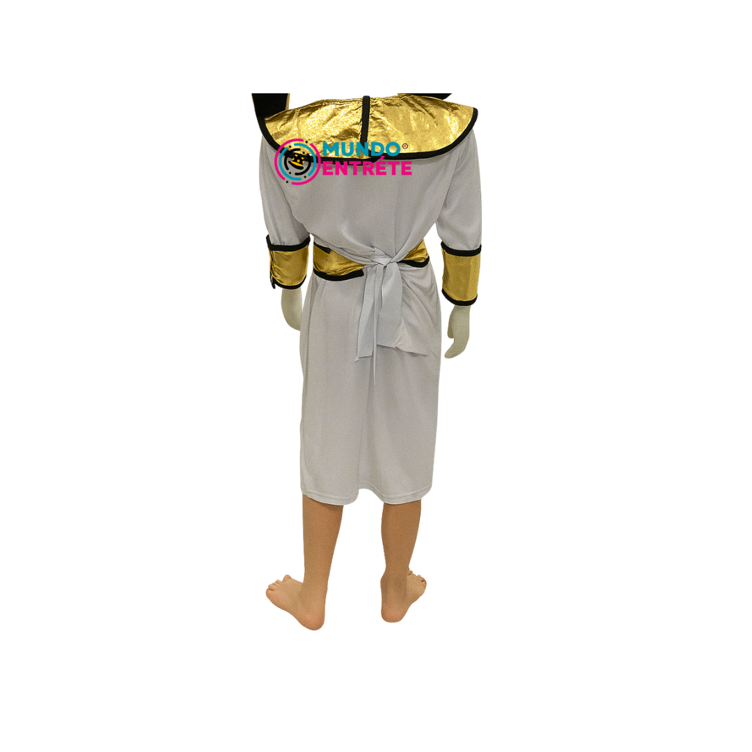 Disfraz De Faraón  Niños