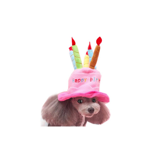 Gorro Cumpleaños Feliz Mascotas Perro Gato